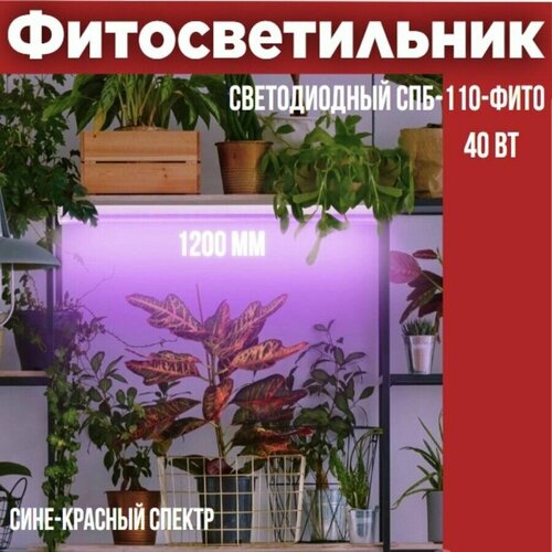 Светильник светодиодный СПБ-110-ФИТО сине-красный спектр 40Вт 1200мм IN HOME фото