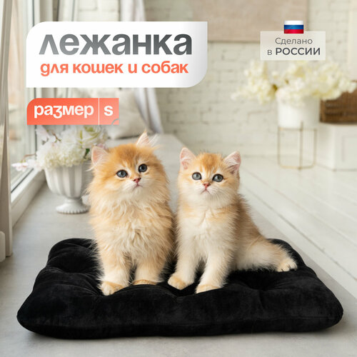 Лежанка для кошек и собак мелких пород, лежак подстилка BEDFORPET фото