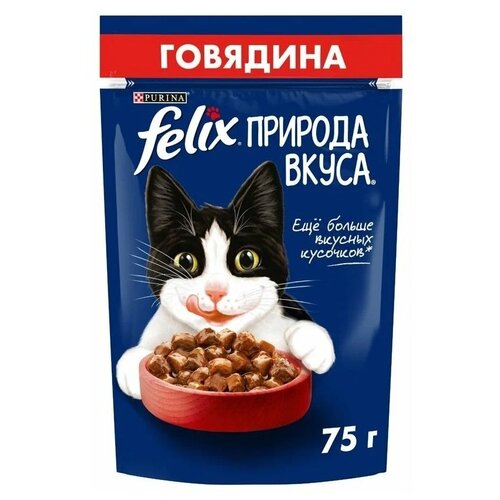 Влажный корм для взрослых кошек Felix Природа вкуса, с говядиной 75 г (кусочки в соусе) фото