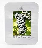 foto SEMI PLAT FIRM-1 Professional Service Pack, 100 semi/pack, St. Croix nero di semi d'uva Hardy dolce frutta piantine di piante # NF459, miglior prezzo EUR 12,99, bestseller 2025