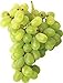 Pinkdose 30seds / bag seme fertilizzante frutto di semi d'uva frutta balcone in vaso 5: 2 nuovo 2024