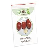 foto SemiGratis - 5 semi di Pomodoro Pendolino - pomodorino piennolo spunzillo pendolo, miglior prezzo EUR 3,50, bestseller 2024