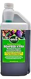 foto Envii SeaFeed Xtra - Fertilizzante Biologico Liquido A Base Di Alghe Che Stimola La Crescita (1L), miglior prezzo EUR 12,99, bestseller 2025