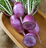 foto 200 semi VIOLA daikon â € “di verdure asiatica - giapponese Unico viola ravanello, miglior prezzo EUR 10,99, bestseller 2025