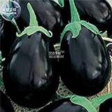 foto Visa Store 2018 vendita calda Davitu melanzane nero grandi semi di ortaggi, 100 semi, organici gustosi per la casa giardino E4327I, miglior prezzo , bestseller 2024