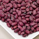 foto Fagioli, fagioli rossi piccoli, messicano del fagiolo rosso/Chili Beans, Heirloom (Bush) 200 semi, miglior prezzo EUR 10,99, bestseller 2025