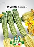 foto Sementi orticole di qualità l'ortolano in busta termosaldata (160 varietà) (ZUCCHINO ROMANESCO), miglior prezzo , bestseller 2024