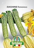 foto Sementi orticole di qualità l'ortolano in busta termosaldata (160 varietà) (ZUCCHINO ROMANESCO), miglior prezzo , bestseller 2024