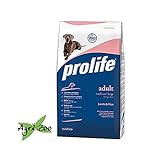 foto Prolife Adult Medium Large Agnello e Riso 12 chilogrammi, miglior prezzo EUR 44,75, bestseller 2024