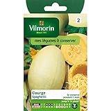 foto Vilmorin - Bustina semi Zucca Spaghetti, miglior prezzo EUR 3,95, bestseller 2024