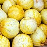 foto Farmerly 30 Organic Lemon cetriolo Semi Heirloom Non-GMO croccante dolce fragrante gialle, miglior prezzo , bestseller 2024