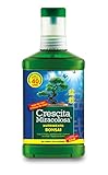 foto Crescita Miracolosa C012501 Nutrimento Bonsai, 200 ml, Verde, 7.5x3.5x18 cm, miglior prezzo EUR 5,90, bestseller 2024