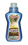 foto Sdd 50100210 Optimus Concime Liquido Piante Grasse, Verde, miglior prezzo EUR 3,50, bestseller 2024