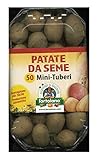 foto PATATE DA SEMINA VARIETA' DIVAA IN CONFEZIONE DA 50 MINI TUBERI, miglior prezzo EUR 12,50, bestseller 2025