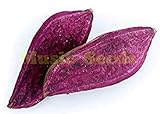 foto 1bag = 20pcs viola dolci semi di patata bonsai RARE esotico delizioso MINI DOLCE semi di frutta verdura casa e giardino, miglior prezzo EUR 13,42, bestseller 2024