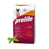 foto Prolife Gatto 12 kg Manzo e Riso, miglior prezzo EUR 39,90, bestseller 2024