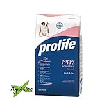 foto PROLIFE - Puppy Sensitive All Breeds Lamb e Rice (Agnello e Riso) 12 kilogramm, miglior prezzo EUR 44,90, bestseller 2025