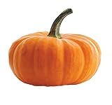 foto Semi di zucca giganti - Cucurbita maxima, miglior prezzo EUR 4,16, bestseller 2025