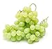 Pinkdose Bonsai di vite d'uva in miniatura - Patio Syrah - Vitis Vinifera - Pianta d'appartamento - 10 pezzi - Bonsai di frutta: 1 nuovo 2024
