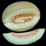 foto Portal Cool 10 - Semi: semi di melone Charlynne - Molto dolce, cremoso e aromatico, morbido e succoso. !!!!, miglior prezzo EUR 9,99, bestseller 2024