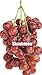 Pinkdose Saldi!Â 100 pz Piante d'uva Nero Uva Albero bonsai Cresce Frutta Bonsai Piante non OGM Cibo commestibile Balcone in vaso Piante da giardino: 8 nuovo 2024