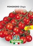 foto Sementi orticole di qualità l'ortolano in busta termosaldata (160 varietà) (POMODORO CILIEGIA), miglior prezzo , bestseller 2024