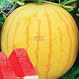 foto Visa Store 2018 Vendita Calda Davitu Heirloom Yellow Skin Red Semi di Anguria senza semi, Confezione professionale, 5 Semi, 13% Zucchero Dolce Succoso E3412, miglior prezzo , bestseller 2024