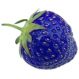foto Rosepoem 100PCS Natural Organic Blue Strawberry Antiossidante Semi Pianta di piante rare e giardino bonsai, miglior prezzo EUR 10,99, bestseller 2024