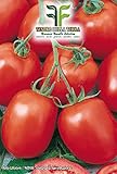 foto 900 C.ca Semi Pomodoro Davis UC 82 - Lycopersicum Esculenthum In Confezione Originale Prodotto in Italia - Pomodori, miglior prezzo EUR 7,40, bestseller 2024