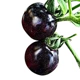 foto 20 Semi viola Pomodoro ciliegino Ortofrutta Bio ortaggio, miglior prezzo EUR 2,88, bestseller 2024