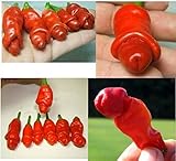 foto Piante da giardino Peter Pepper Seeds peperoncino 50 semi / pacchetto rosso caldo, miglior prezzo EUR 3,29, bestseller 2024