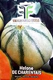 foto 120 C.ca Semi Melone De Charentais - Cucumis Melo In Confezione Originale Prodotto in Italia - Meloni, miglior prezzo EUR 7,40, bestseller 2024