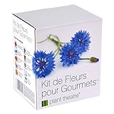 foto Il Kit Fiori Gourmet di Plant Theatre – 6 varietà di fiori commestibili da coltivare – regalo ottimale, miglior prezzo EUR 16,99, bestseller 2024