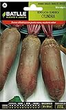 foto Semi Ortaggi Di Batlle - Barbabietola Cylindra (500 Seeds), miglior prezzo EUR 1,95, bestseller 2024