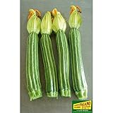 foto ZUCCHINO ROMANESCO NR.40 SEMI, miglior prezzo EUR 2,00, bestseller 2024