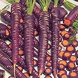 foto PLAT FIRM Germinazione I semi PLATFIRM-carota Semi 500 Purple Haze Carota ibride, miglior prezzo EUR 20,57, bestseller 2025