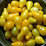 foto POMODORO GIALLO A PERA NR.300 SEMI, miglior prezzo EUR 2,00, bestseller 2024