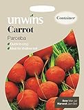 foto Unwins Pictorial pacco – carota Parceba – 350 semi, miglior prezzo EUR 2,21, bestseller 2024