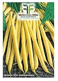 foto 400 C.ca Semi Fagiolo Nano Giallo Mangiatutto Pencil Pod - Phaseolus Vulgaris In Confezione Originale Prodotto in Italia - Fagioli nani gialli, miglior prezzo EUR 7,40, bestseller 2024