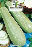 foto 35 C.ca Semi Zucchino Lungo Bianco Di Palermo - Cucurbita Pepo In Confezione Originale Prodotto in Italia - Zucchine lunghe bianche, miglior prezzo EUR 7,40, bestseller 2024