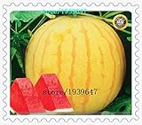 foto AGROBITS HEIRLOOM39; Huang Pi QIU39; Giallo Pelle Rossa Senza Semi Semi di Semi di Anguria, 20/Pack, 13% Sugar Sweet Juicy: Mix, miglior prezzo EUR 8,99, bestseller 2024