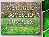 foto Agraria Ughetto Apicoltura Miscuglio Sovescio Seme Certificato kg. 1 | Mellifere da Semina e sovescio, miglior prezzo EUR 10,50, bestseller 2024