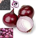 foto 100 semi/pack Cipolla vegetale primavera Cipolla rossa semi Home Per piantare la coltivazione del paese, miglior prezzo EUR 2,99, bestseller 2025