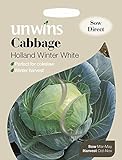 foto Unwins Pictorial pacco – cavolo Holland Winter bianco – 200 semi, miglior prezzo EUR 1,66, bestseller 2024
