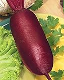 foto Semi di barbabietola rossa Rival agricoltura biologica Heirloom vegetali non OGM, miglior prezzo EUR 10,99, bestseller 2024