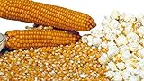 foto Semi Di Mais Da Pop Corn 50g, miglior prezzo EUR 4,40, bestseller 2024