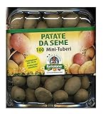 foto PATATE DA SEMINA VARIETA' DIVAA IN CONFEZIONE DA 100 MINI TUBERI, miglior prezzo EUR 12,50, bestseller 2024