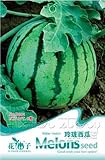 foto Portal Cool 1 confezione di semi di melone semi di ortaggi biologici semi nutrienti piante da giardino caldo, miglior prezzo EUR 9,99, bestseller 2024