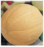 foto 90 C.ca Semi Melone Galia - Cucumis Melo In Confezione Originale Prodotto in Italia - Meloni, miglior prezzo EUR 7,40, bestseller 2024