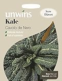 foto Pacchetto Unwins Pictorial – Cavolo Nero – 200 semi, miglior prezzo EUR 1,66, bestseller 2024